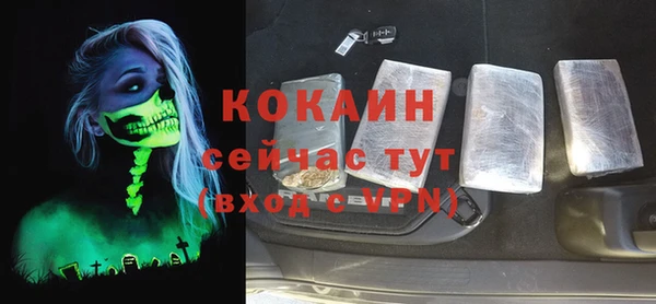 тгк Алексин
